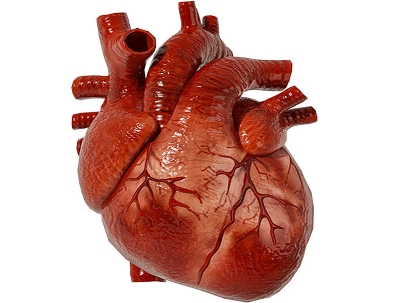 Complex Coronary Intervention by Dr Merajul Haque